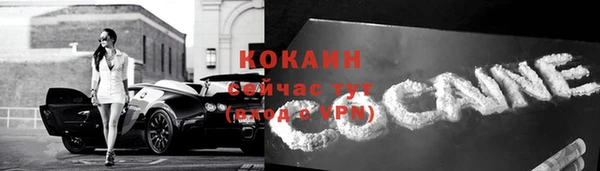 амф Слюдянка