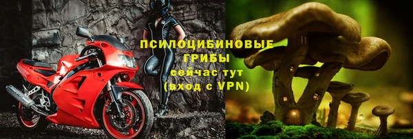 прущая мука Богородск