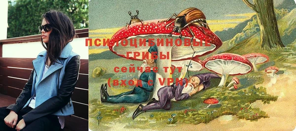 амф Слюдянка