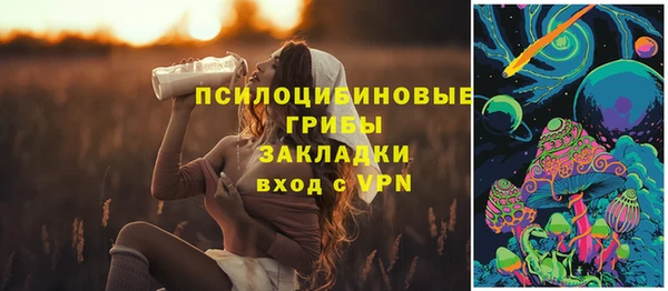 стафф Снежинск